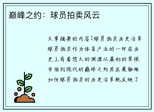 巅峰之约：球员拍卖风云