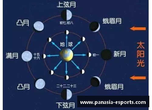 月球影响下的生物钟：地球与月球之间的时间共振