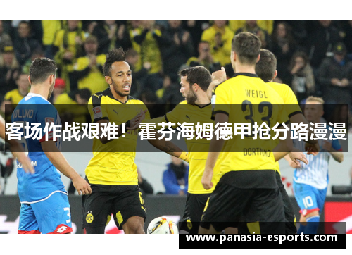 客场作战艰难！霍芬海姆德甲抢分路漫漫